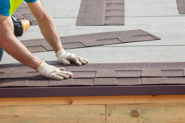Best Asphalt Shingle Roofing  in Carver, MN